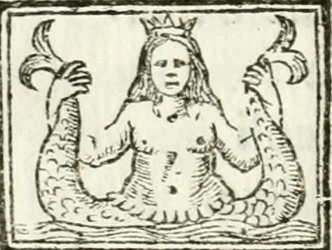 An illustration from Scherzi armoniosi, 1658, leaf 29