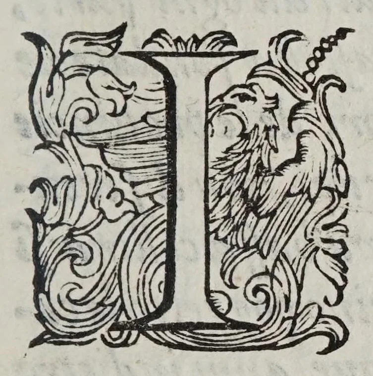 An illustration from Scherzi degli spiriti animali dettati con l'occasione de l'oscurazione de l'anno 1605, 1605, leaf 7