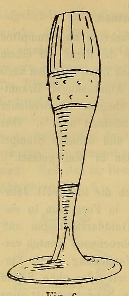 An illustration from Schlesische gläser. Eine studie über die schlesische Glasindustrie früherer Zeit, nebst einem Beschreibenden Katalog der Gläsersammlung des Museums Schlesischer Altertümer zu Breslau, 1891, leaf 82