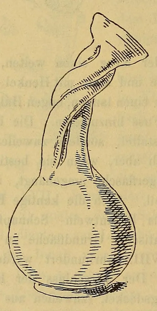 An illustration from Schlesische gläser. Eine studie über die schlesische Glasindustrie früherer Zeit, nebst einem Beschreibenden Katalog der Gläsersammlung des Museums Schlesischer Altertümer zu Breslau, 1891, leaf 88