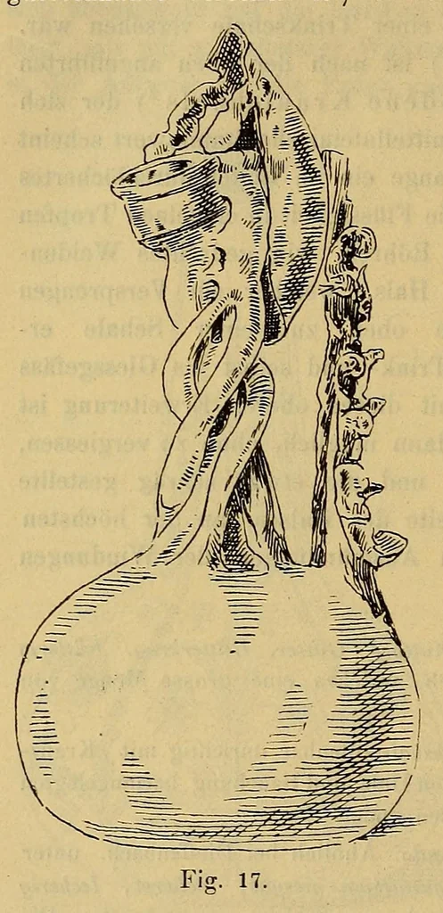 An illustration from Schlesische gläser. Eine studie über die schlesische Glasindustrie früherer Zeit, nebst einem Beschreibenden Katalog der Gläsersammlung des Museums Schlesischer Altertümer zu Breslau, 1891, leaf 92