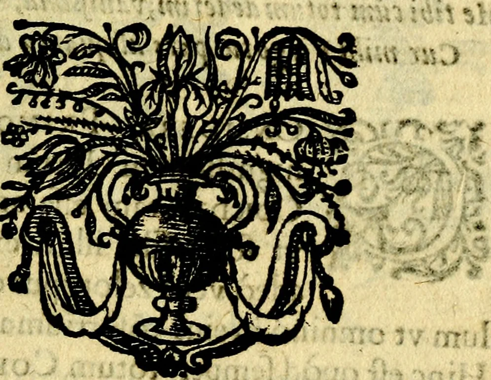 An illustration from Schola cordis siue aversi à deo cordis ac eumdem reductio, et instructio .., 1663, leaf 174