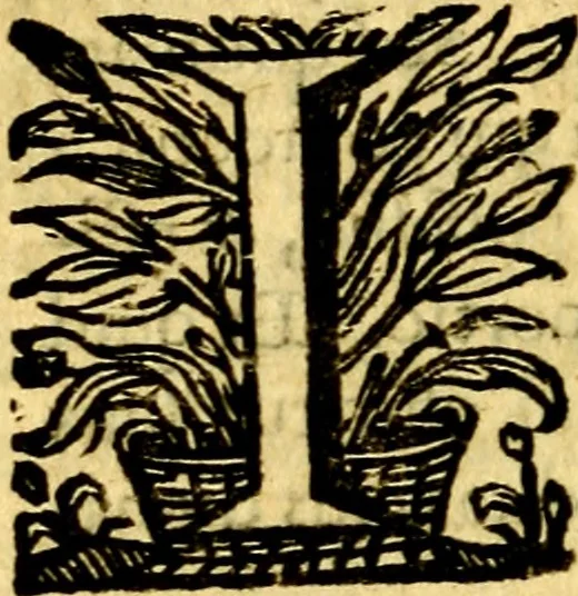An illustration from Schola cordis siue aversi à deo cordis ac eumdem reductio, et instructio .., 1663, leaf 197