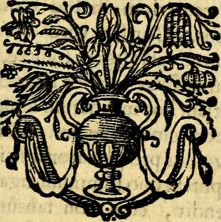 An illustration from Schola cordis siue aversi à deo cordis ac eumdem reductio, et instructio .., 1663, leaf 220