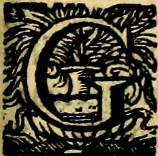 An illustration from Schola cordis siue aversi à deo cordis ac eumdem reductio, et instructio .., 1663, leaf 244