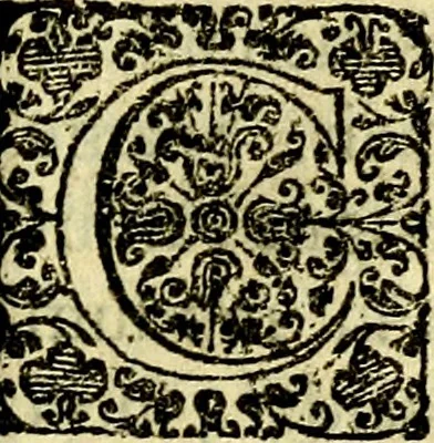 An illustration from Schola cordis siue aversi à deo cordis ac eumdem reductio, et instructio .., 1663, leaf 404