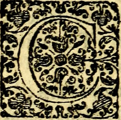 An illustration from Schola cordis siue aversi à deo cordis ac eumdem reductio, et instructio .., 1663, leaf 555