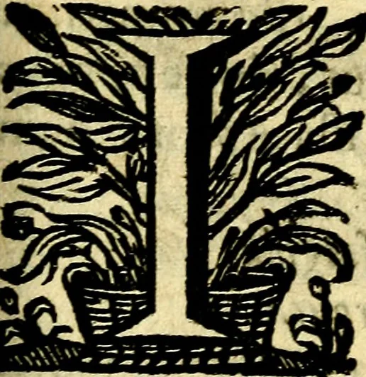 An illustration from Schola cordis siue aversi à deo cordis ac eumdem reductio, et instructio .., 1663, leaf 632