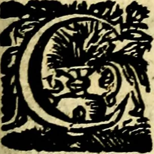 An illustration from Schola cordis siue aversi à deo cordis ac eumdem reductio, et instructio .., 1663, leaf 648