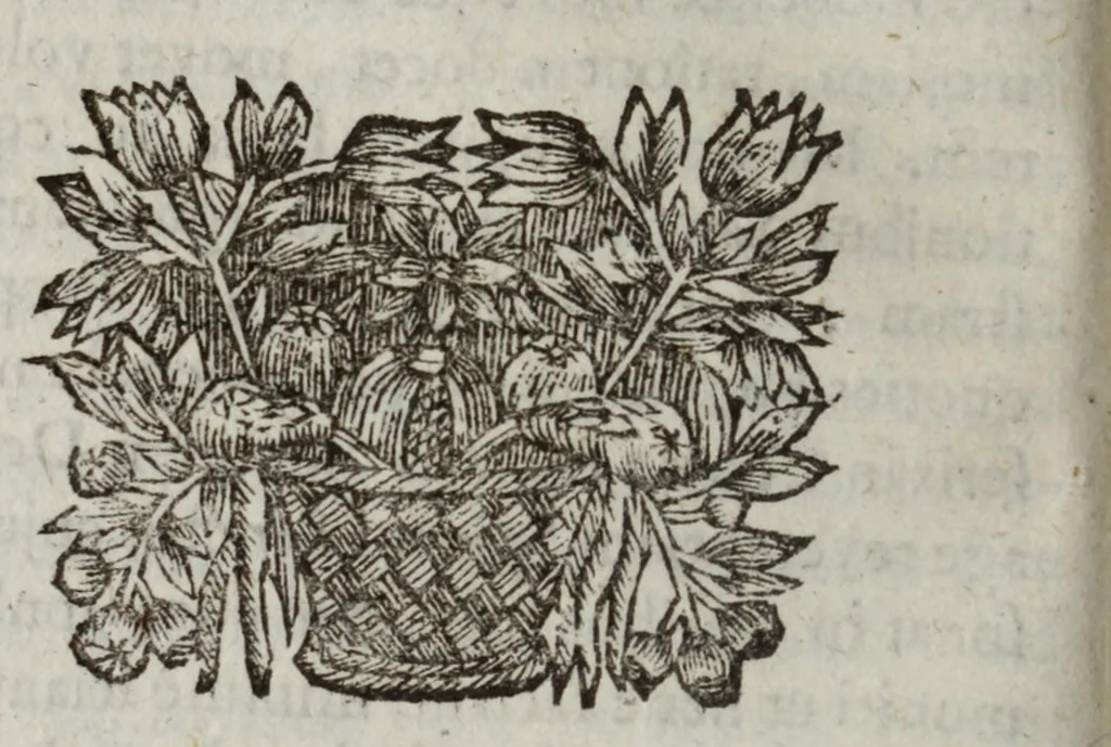 An illustration from Schola cordis, sive, Aversià Deo Cordis ad eumdem reductio, et instructio, 1699, leaf 480