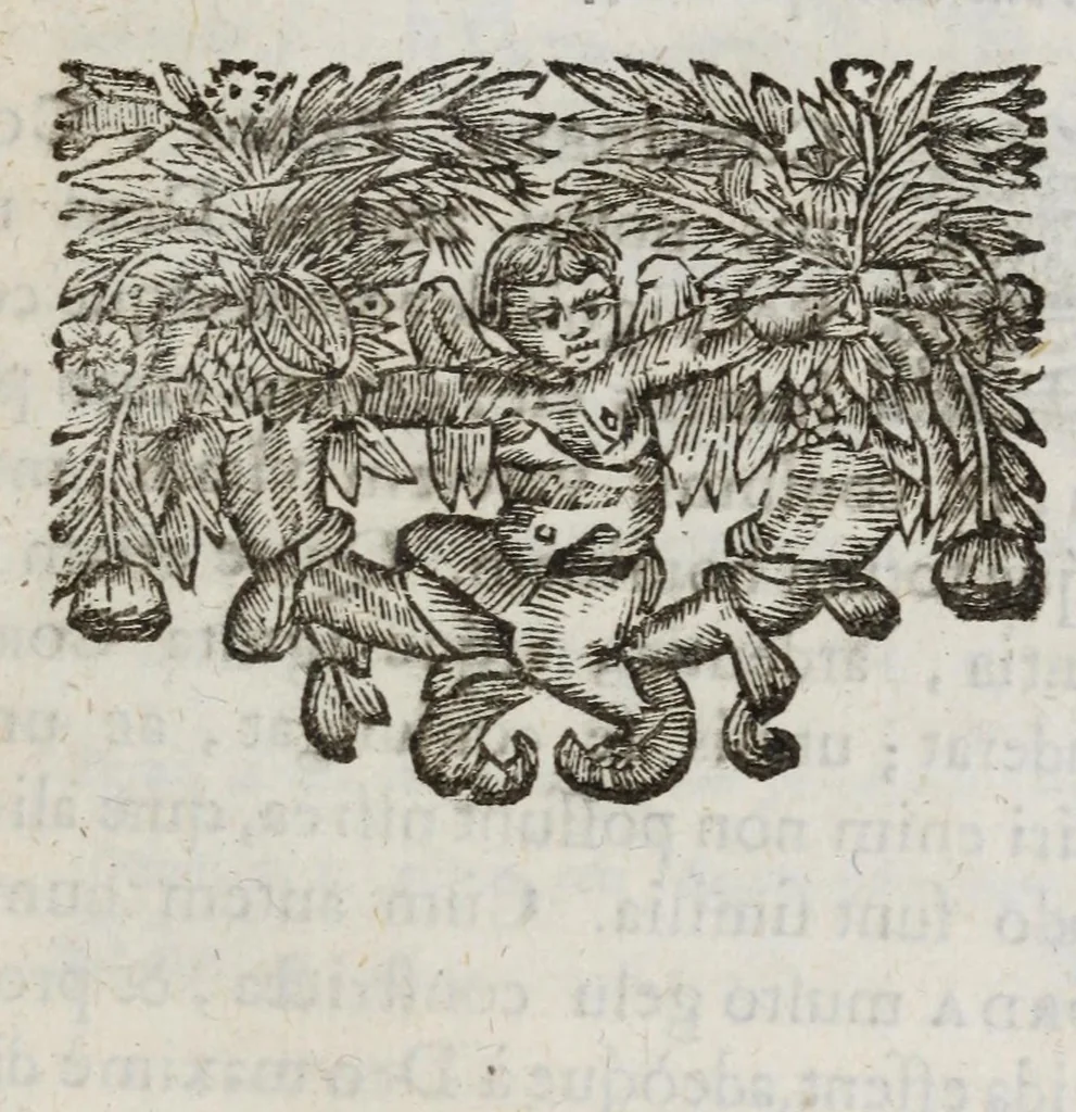 An illustration from Schola cordis, sive, Aversià Deo Cordis ad eumdem reductio, et instructio, 1699, leaf 507