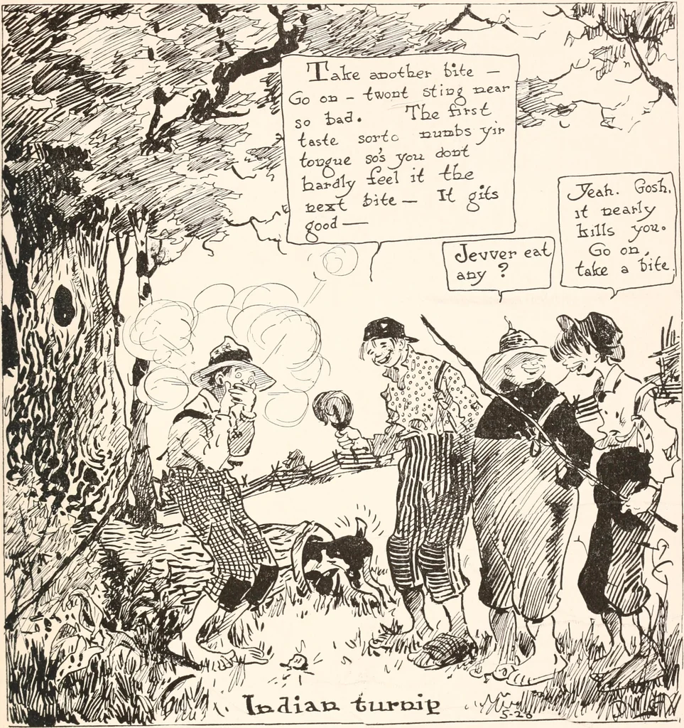 An illustration from School days, 1919, leaf 42