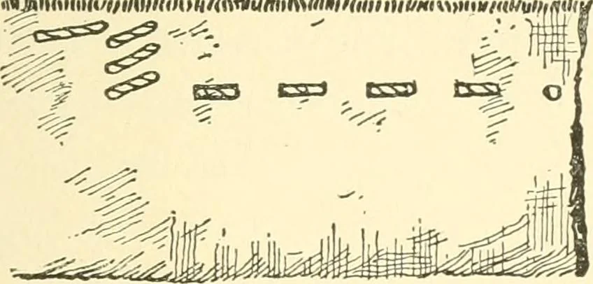 An illustration from School needlework; a book written for the beginner of any age and in any school, 1922, leaf 26