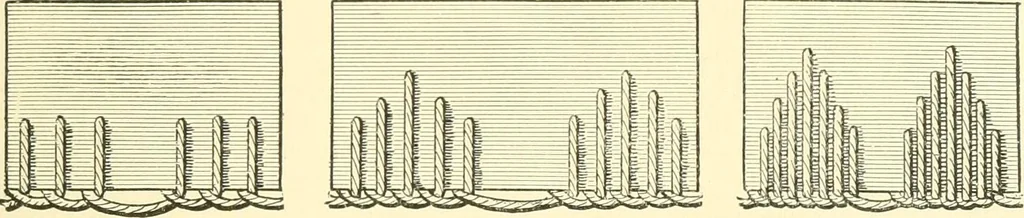 An illustration from School needlework; a book written for the beginner of any age and in any school, 1922, leaf 42