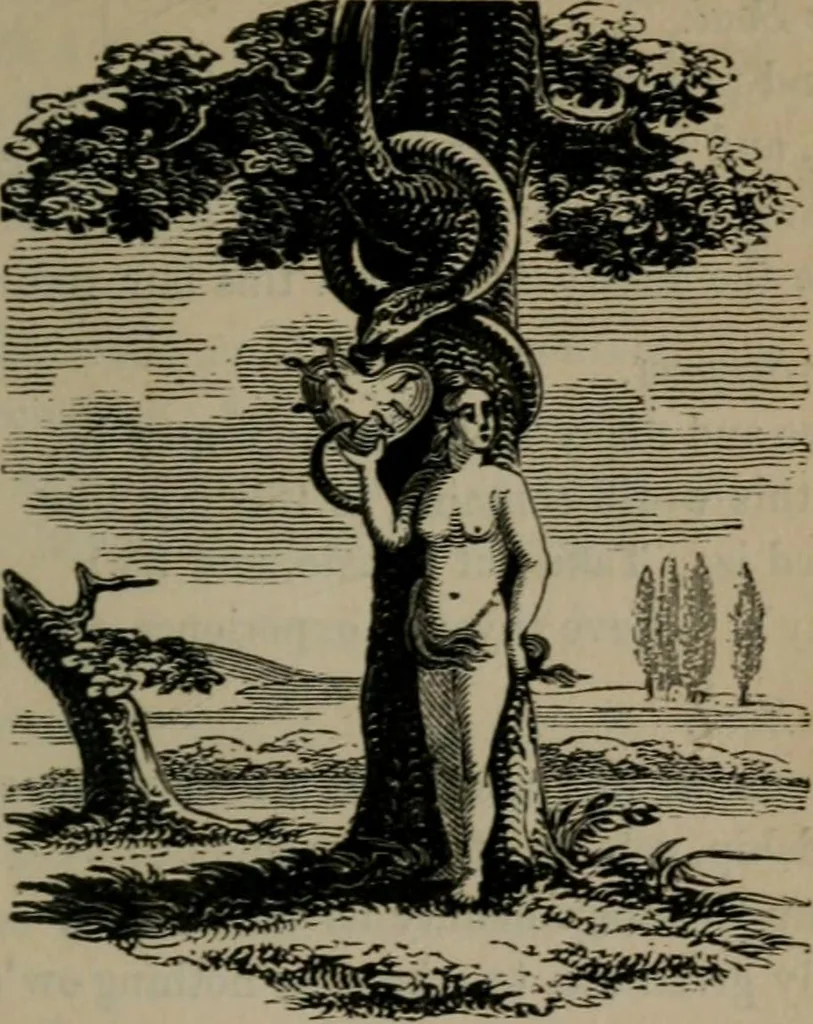 An illustration from The school of the heart : or, The heart of itself gone away from God, brought back again to Him; and instructed by Him. With The learning of the heart; and Hieroglyphics of the life of man., 1845, leaf 18