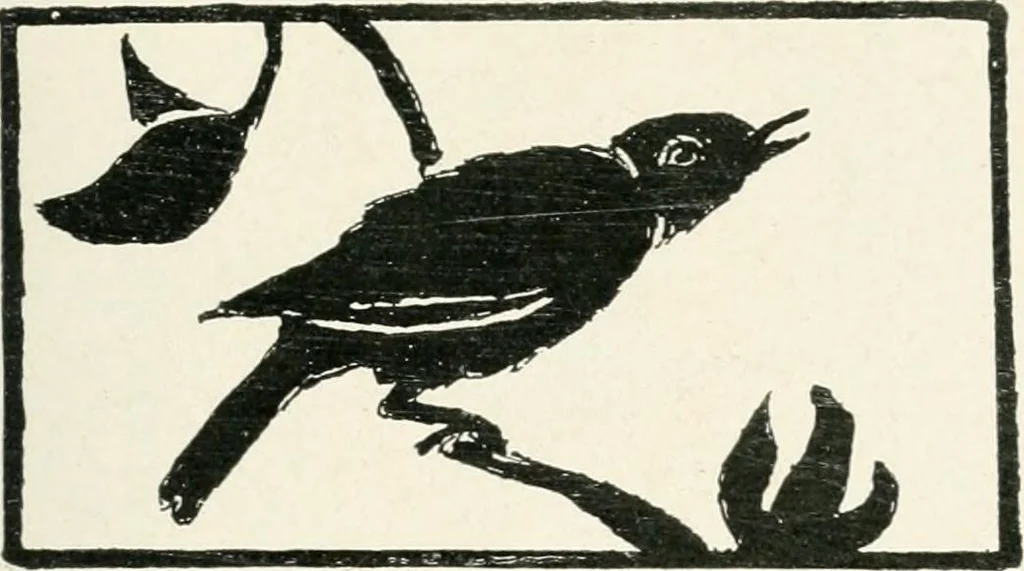An illustration from The school printshop, 1919, leaf 218