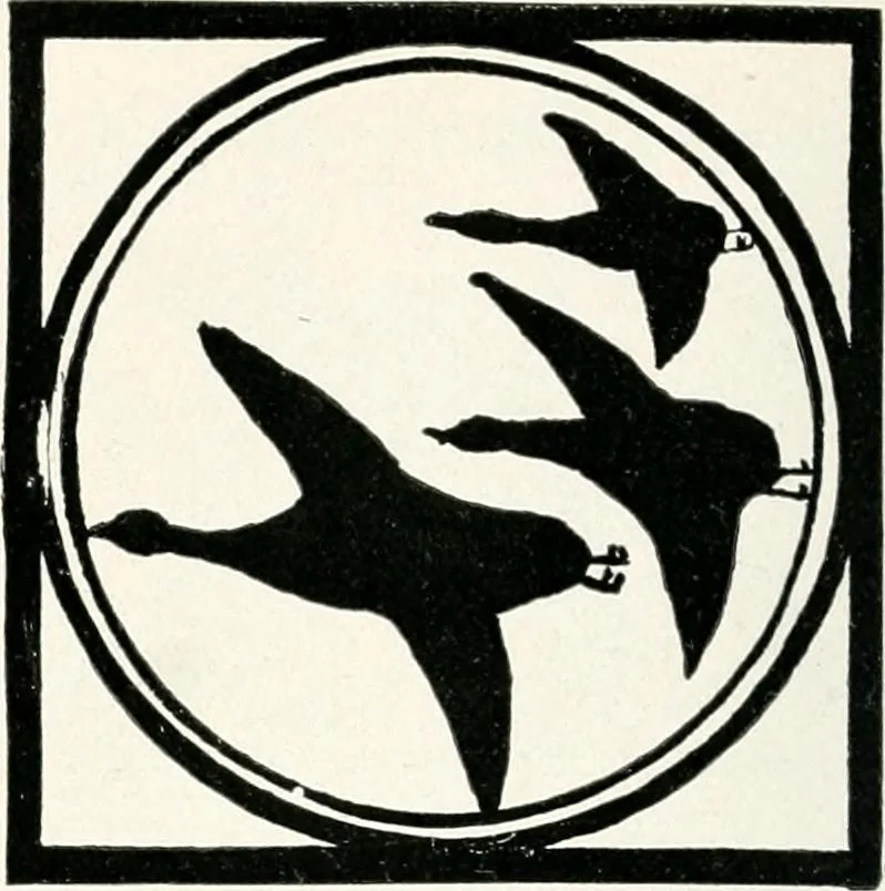 An illustration from The school printshop, 1919, leaf 219