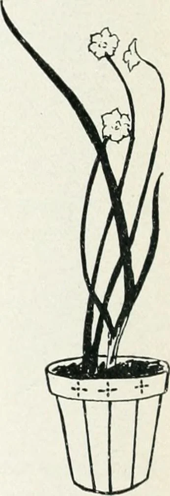 An illustration from The school printshop, 1919, leaf 227