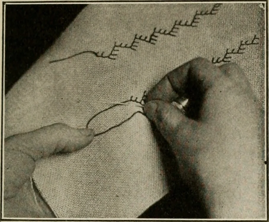 An illustration from School sewing based on home problems, 1916, leaf 322