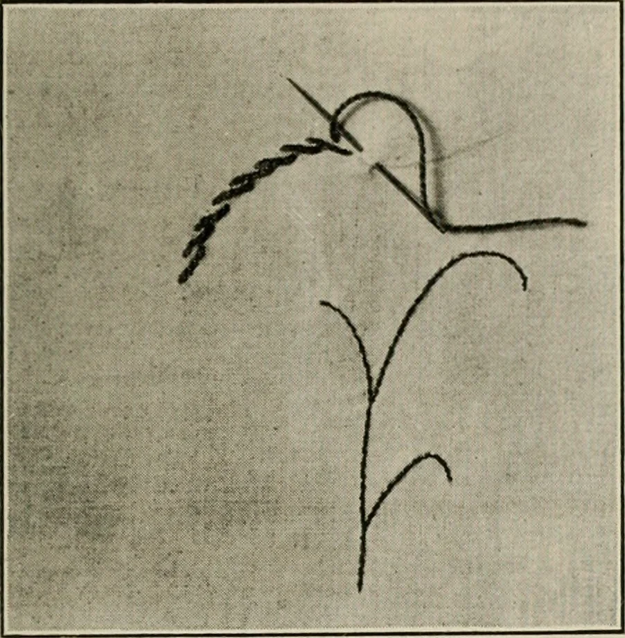 An illustration from School sewing based on home problems, 1916, leaf 324