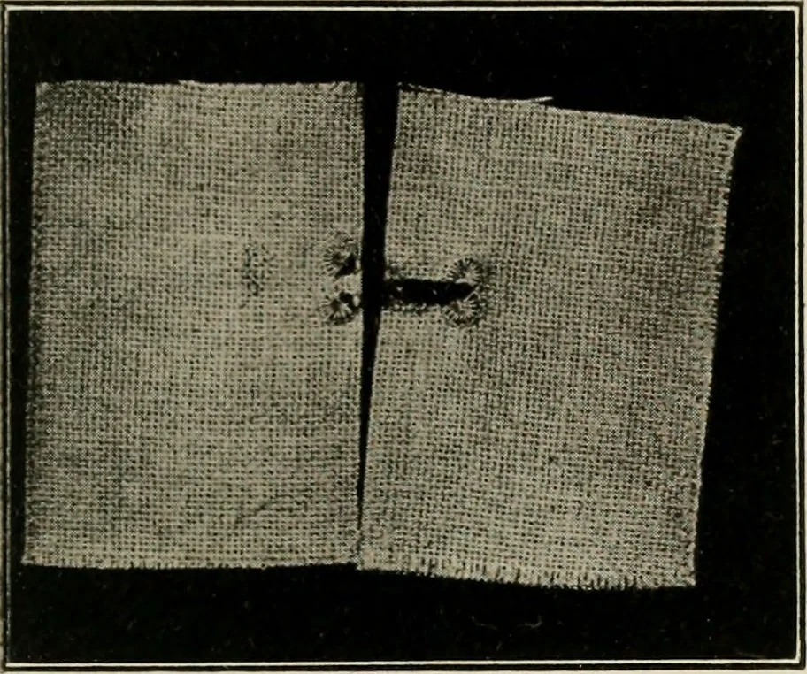 An illustration from School sewing based on home problems, 1916, leaf 330