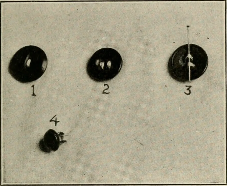 An illustration from School sewing based on home problems, 1916, leaf 332