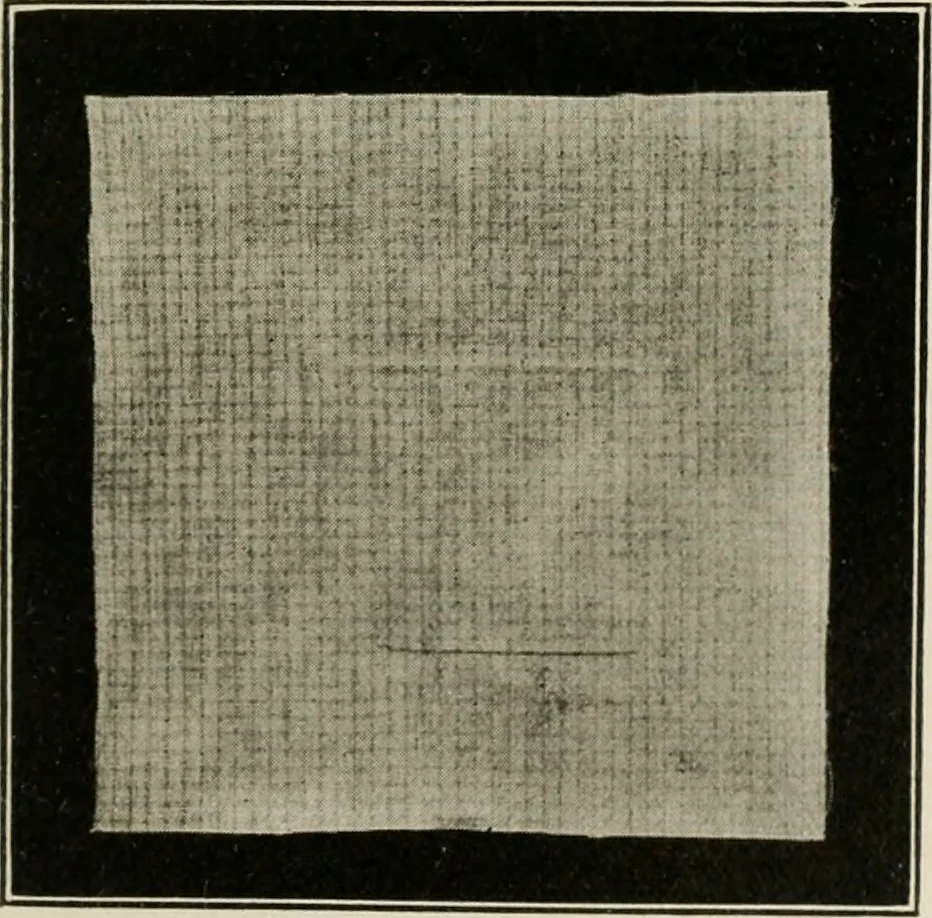 An illustration from School sewing based on home problems, 1916, leaf 346