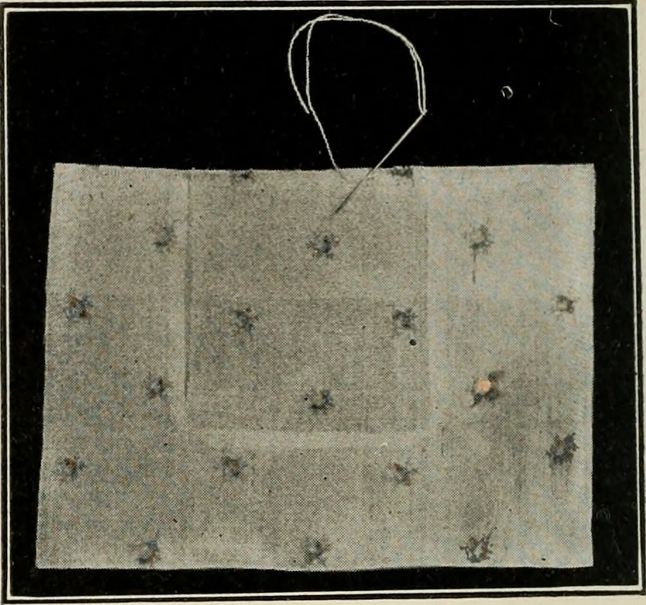 An illustration from School sewing based on home problems, 1916, leaf 347