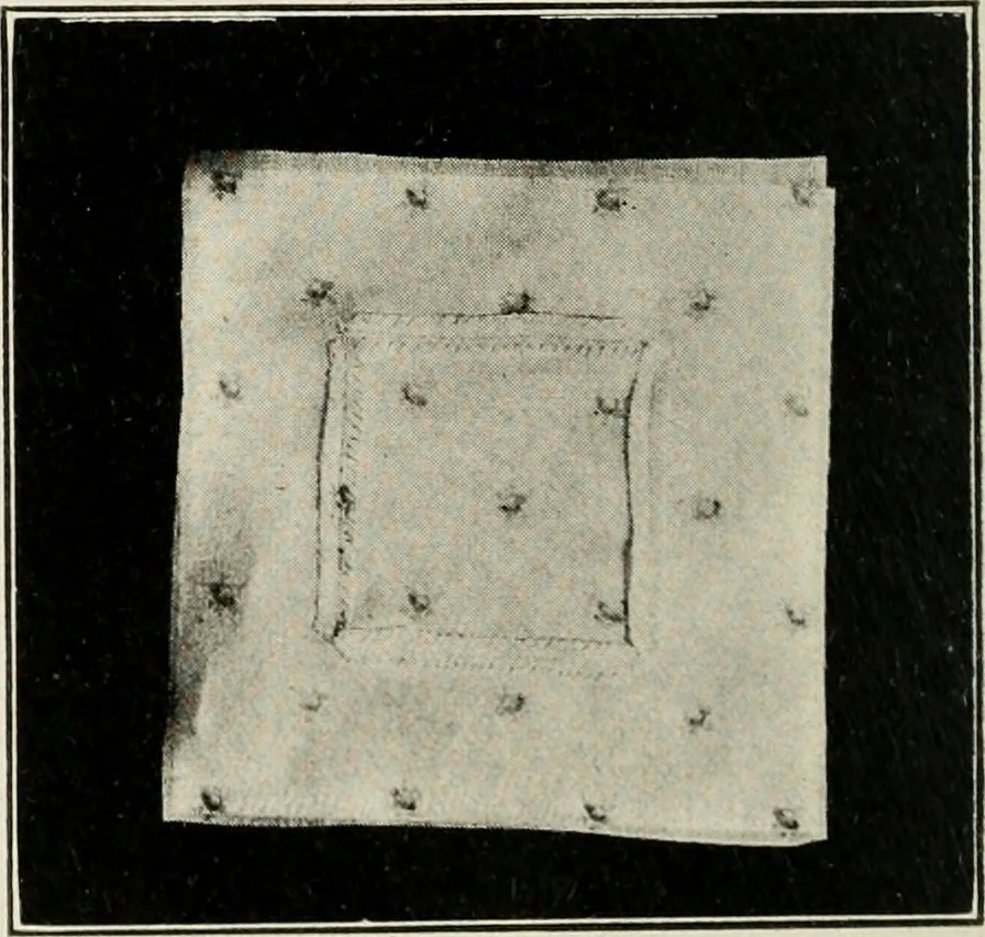 An illustration from School sewing based on home problems, 1916, leaf 347