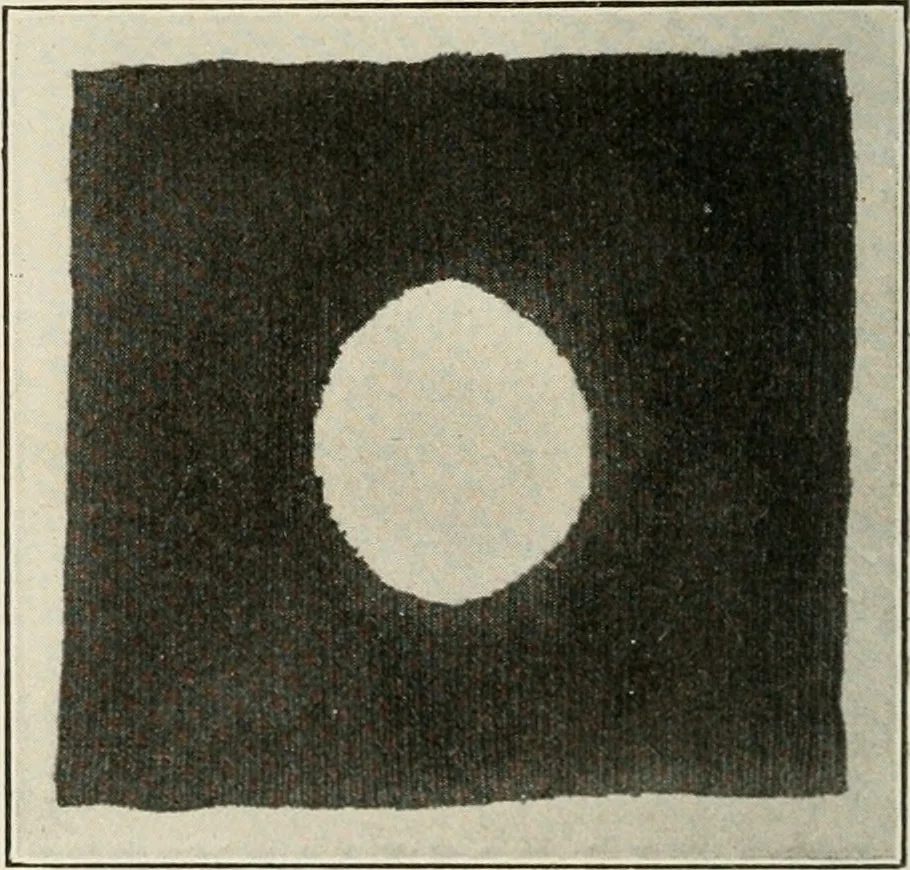 An illustration from School sewing based on home problems, 1916, leaf 351