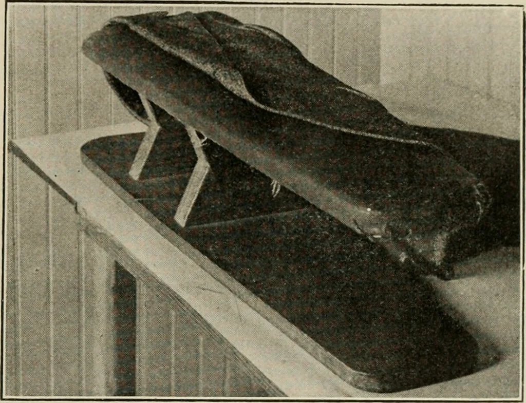 An illustration from School sewing based on home problems, 1916, leaf 374