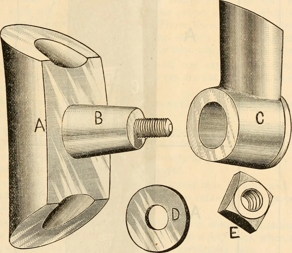 An illustration from School supplies., 1890, leaf 8