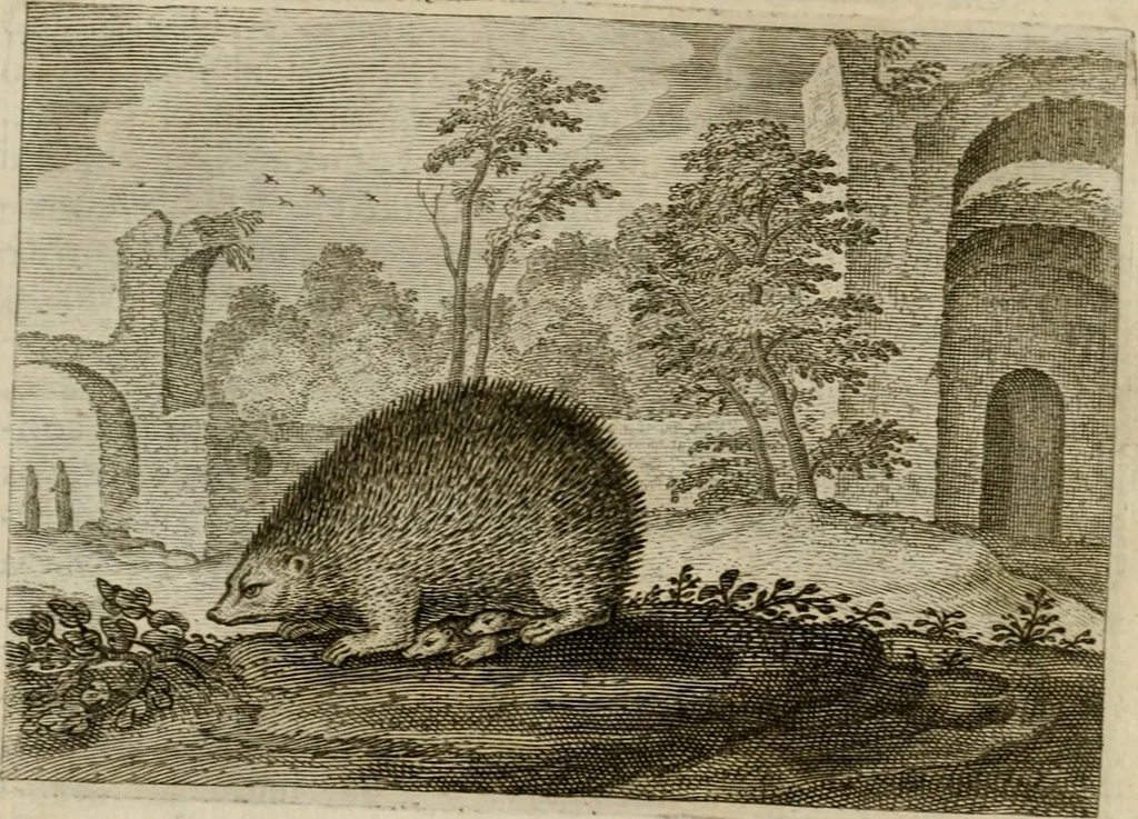 An illustration from Emblemata Florentii Schoonhovii I.C. Goudani, partim moralia, partim etiam civilia. Cum latiori eorundem ejusdem auctoris interpretatione. Accedunt et alia quaedam poëmatia in alijs poëmatum suorum libris non contenta, 1618, leaf 101