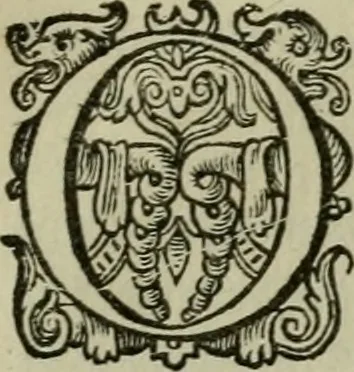 An illustration from Emblemata Florentii Schoonhovii I.C. Goudani, partim moralia, partim etiam civilia. Cum latiori eorundem ejusdem auctoris interpretatione. Accedunt et alia quaedam poëmatia in alijs poëmatum suorum libris non contenta, 1618, leaf 240