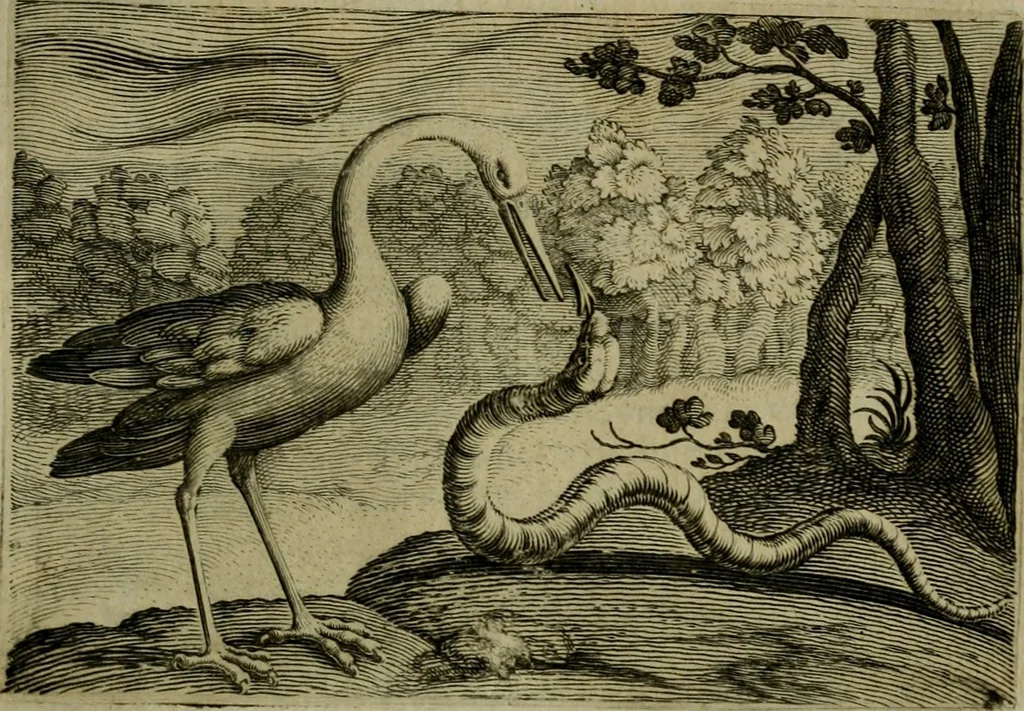 An illustration from Emblemata Florentii Schoonhovii I.C. Goudani, partim moralia, partim etiam civilia. Cum latiori eorundem ejusdem auctoris interpretatione. Accedunt et alia quaedam poëmatia in alijs poëmatum suorum libris non contenta, 1618, leaf 92