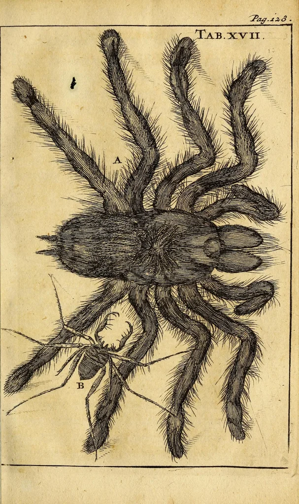 An illustration from Schou-burg der rupsen, wormen, ma'den, en vliegende dierkens daar uit voortkomende : door eigen ondervindinge by een gebragt, 1688, leaf 199