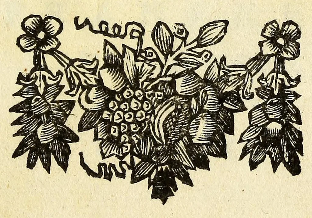 An illustration from Schou-burg der rupsen, wormen, ma'den, en vliegende dierkens daar uit voortkomende : door eigen ondervindinge by een gebragt, 1688, leaf 9