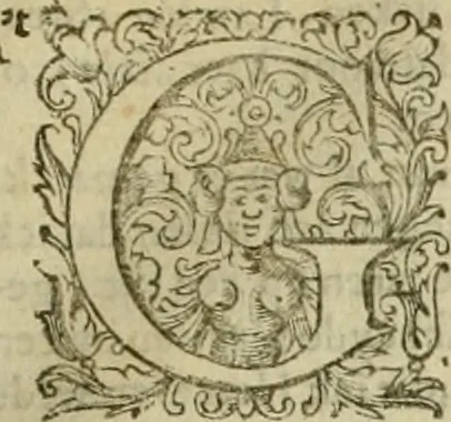 An illustration from Schouburgh der Nederlandse veranderingen : geopent in ses tooneelen, waer op de wisselbeurten des Vereenigde Staets door den Fransen oorlog gebrouwen : in historieele sinnebeelden vertoont en beschreven zijn, 1674, leaf 20