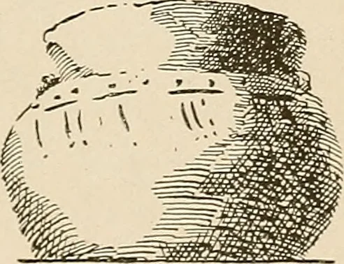 An illustration from Schule und Museum, 1910, leaf 68