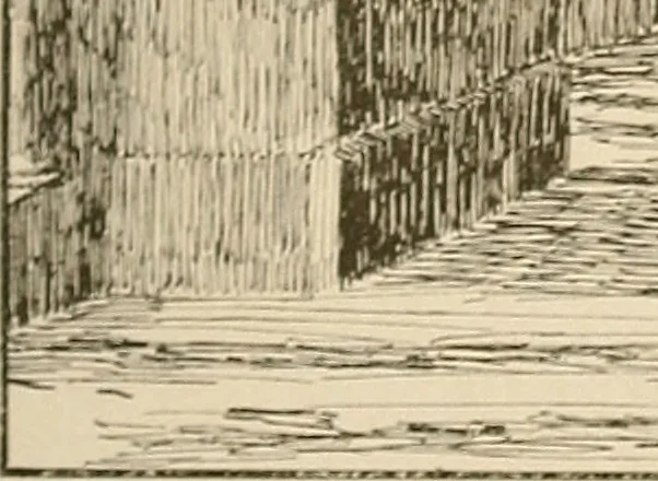 An illustration from Schule und Museum, 1910, leaf 78