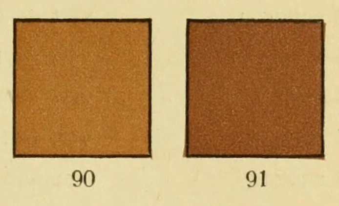 An illustration from Schwaneberger, Farben-Tafein für Briefmarkensammler = Tableaux de couleurs pour collectionneurs = Colour-tables for stamp-collectors, 1922, leaf 17