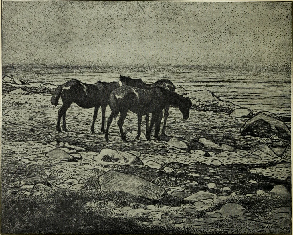 An illustration from Schwedische kunst des 19. Jahrhunderts, 1904, leaf 101