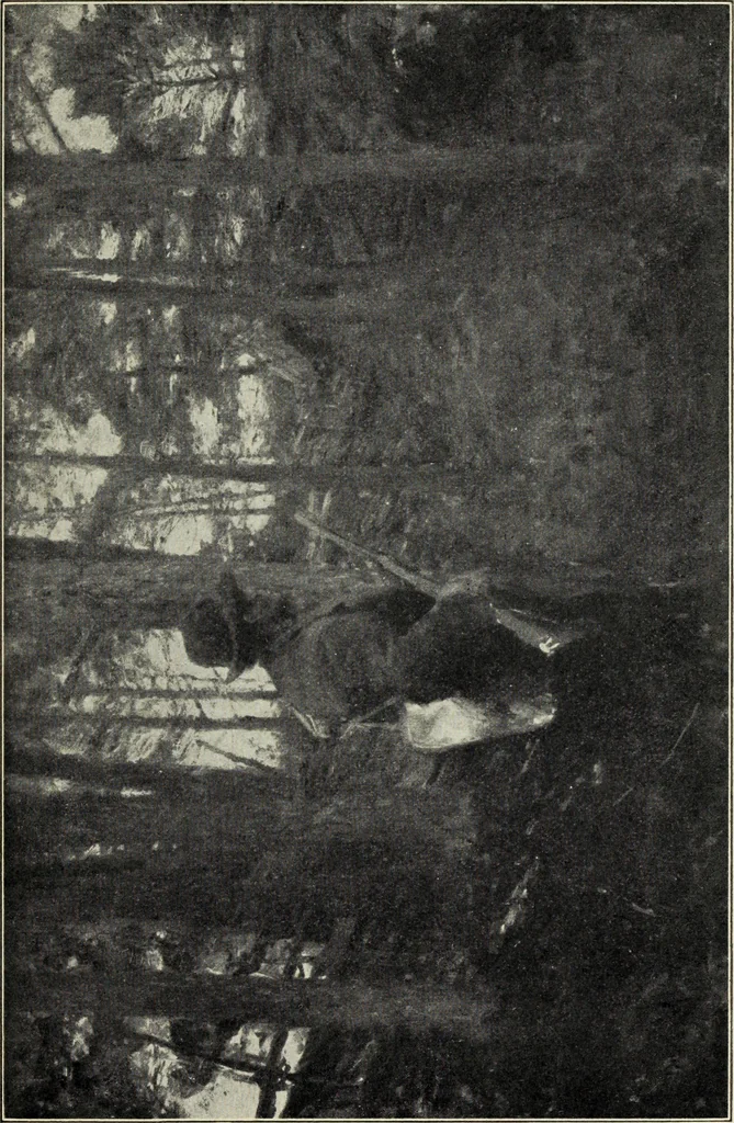 An illustration from Schwedische kunst des 19. Jahrhunderts, 1904, leaf 96
