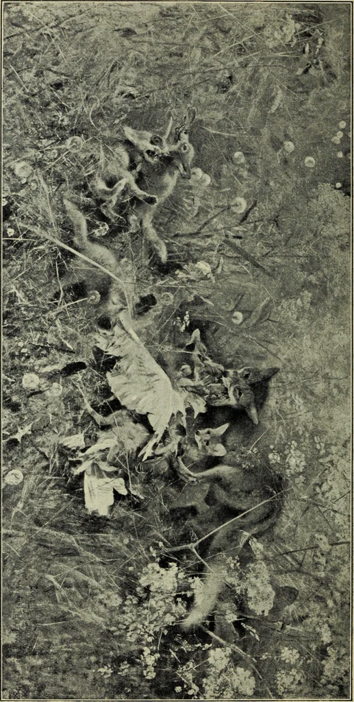 An illustration from Schwedische kunst des 19. Jahrhunderts, 1904, leaf 97