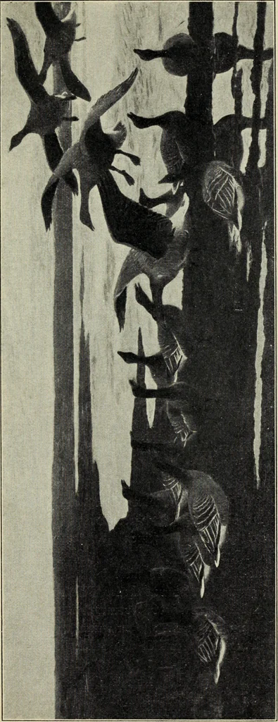 An illustration from Schwedische kunst des 19. Jahrhunderts, 1904, leaf 98