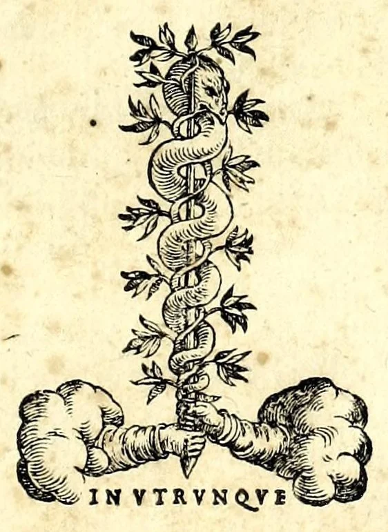 An illustration from Scielta di notabili avvertimenti, pertinenti a' cavalli ... : col ritratto del cavallo, oue si ueggono tutti i suoi morbi, co' medicamenti applicati a loro, 1571, leaf 3