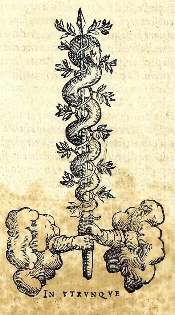 An illustration from Scielta di notabili avvertimenti, pertinenti a' cavalli ... : col ritratto del cavallo, oue si ueggono tutti i suoi morbi, co' medicamenti applicati a loro, 1571, leaf 86