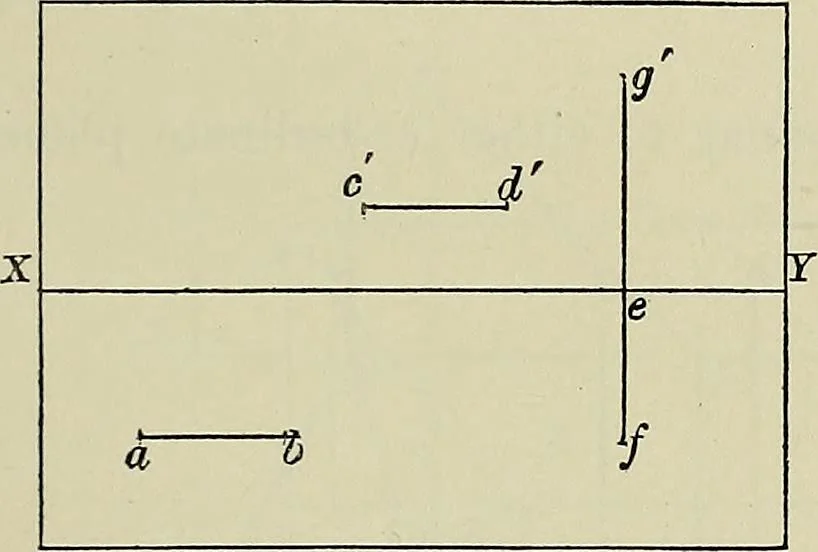 An illustration from Science and art drawing : complete geometrical course ; consisting of plane and solid geometry, orthographic and isometric projection, projection of shadow's the principles of map projection, graphic arithmetic and graphic statics, 1895, leaf 318