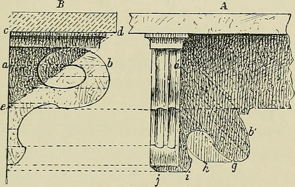 An illustration from Science and art drawing : complete geometrical course ; consisting of plane and solid geometry, orthographic and isometric projection, projection of shadow's the principles of map projection, graphic arithmetic and graphic statics, 1895, leaf 460