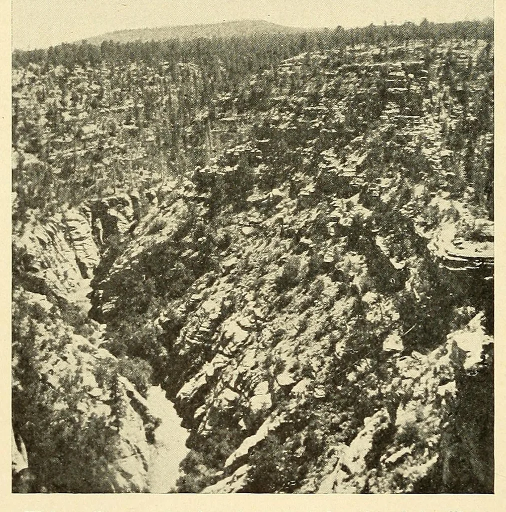 An illustration from Science conspectus, 1910, leaf 28